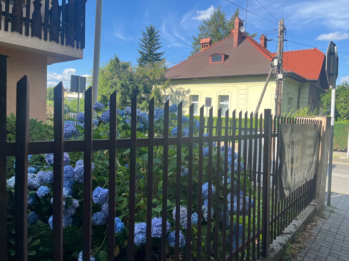 Sunny afternoon walkthrough of a quiet residential and commercial neighborhood