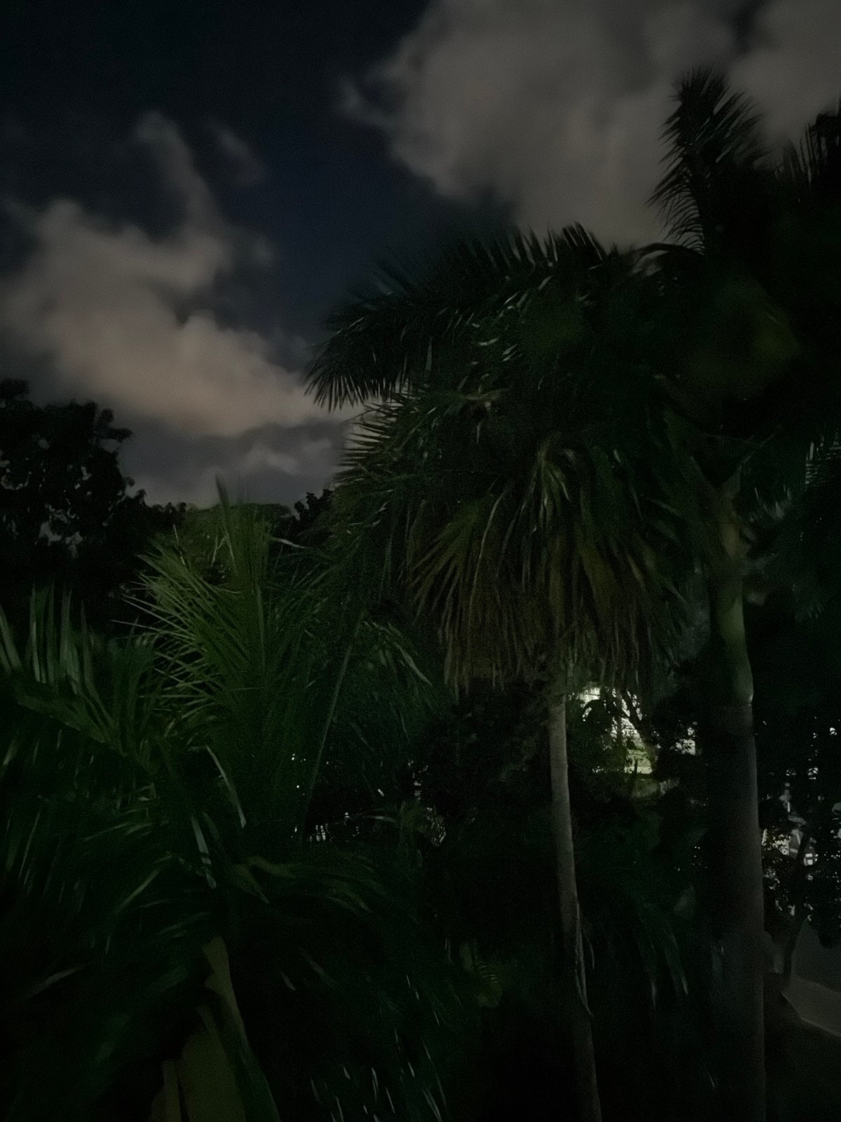 Dark nighttime scenes captured in Playa del Carmen