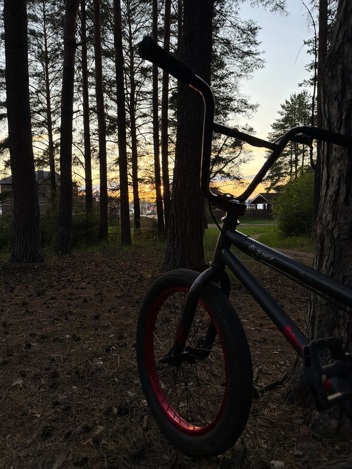 Family forest cycling adventure captured in Chaikovsky during golden hour