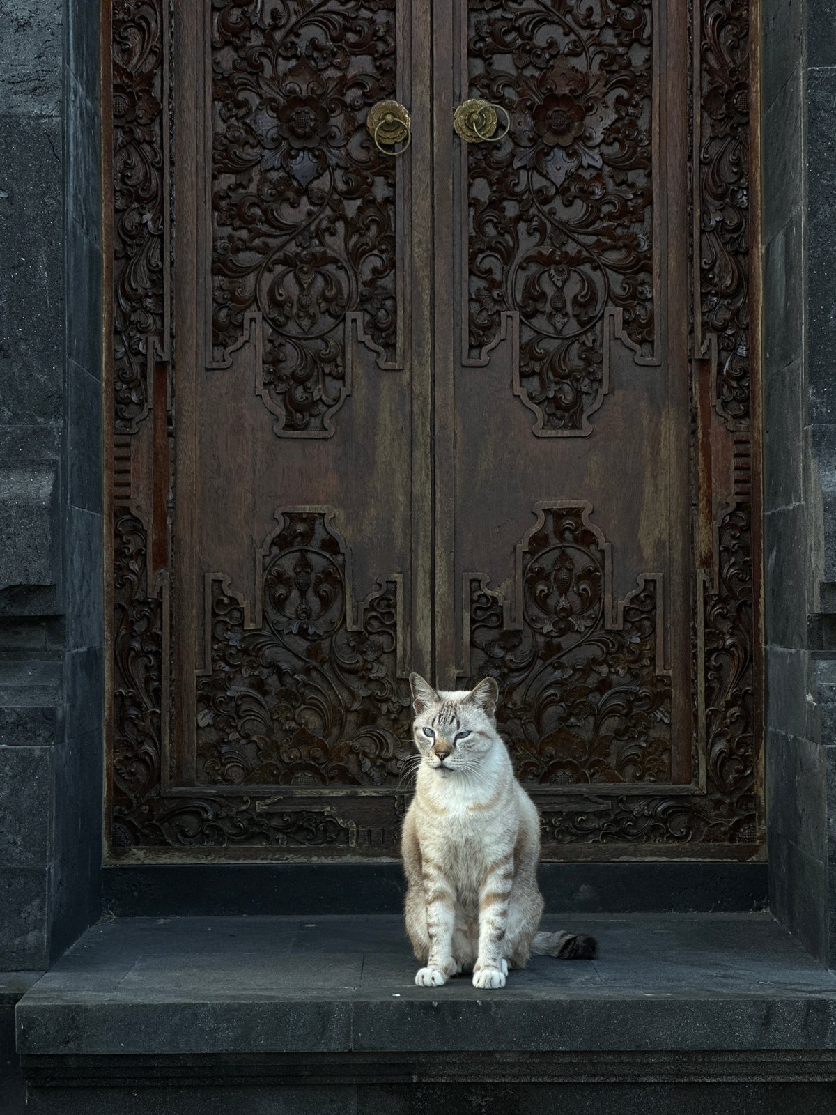 Tabby cat lounging on steps of a carved Balinese door