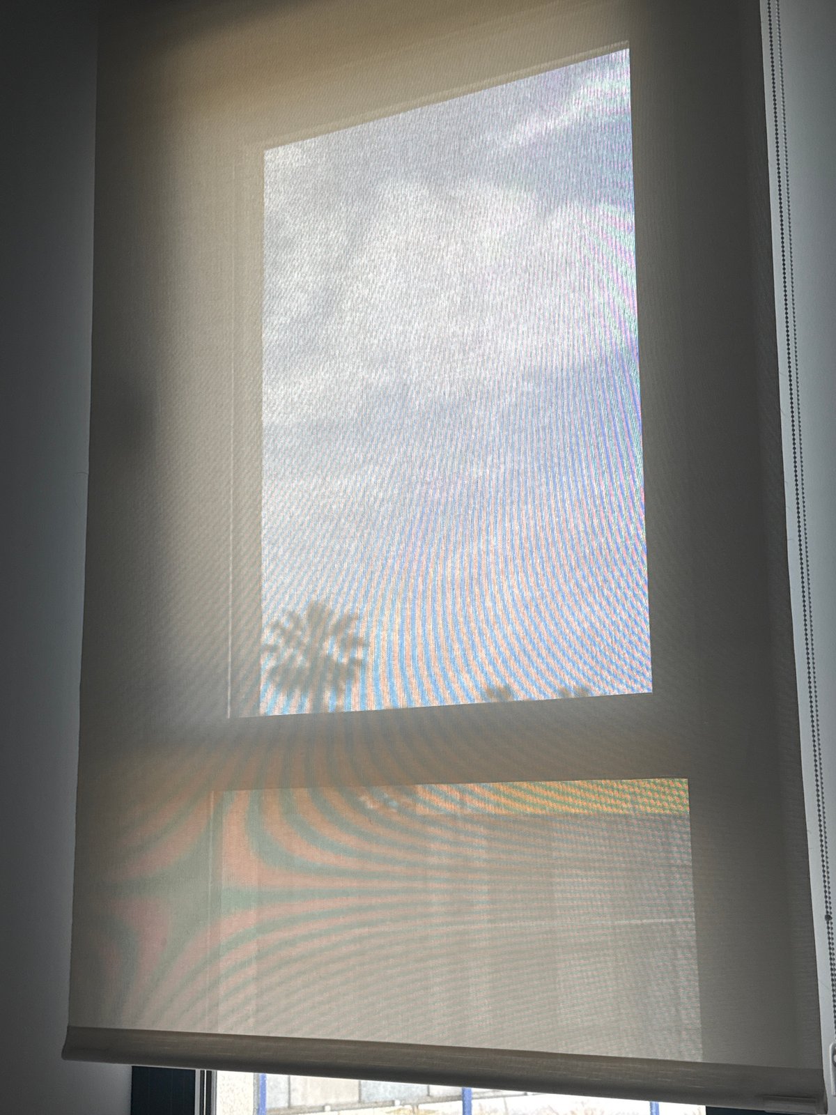 Window shade reveals palm tree view in Spanish town