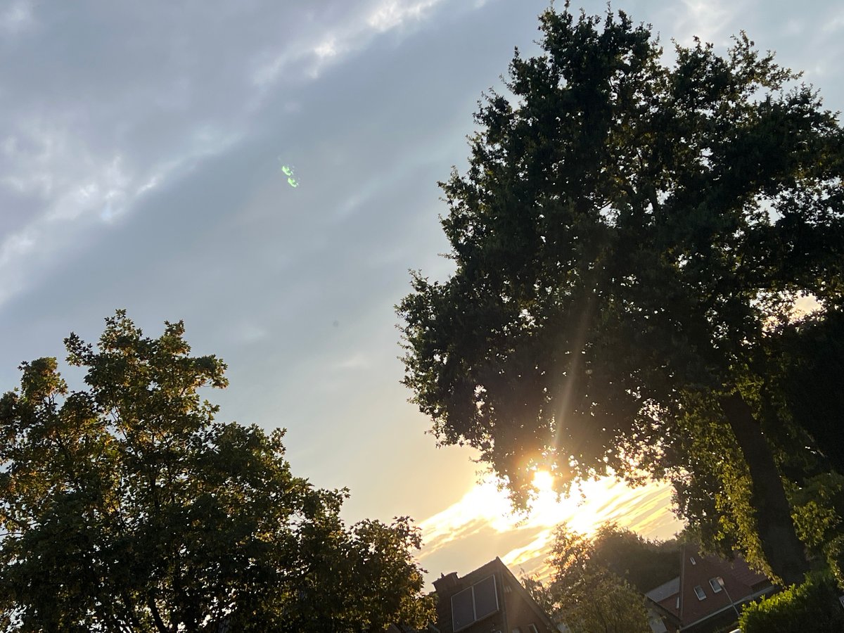 Backyard sunset afternoon with toys, clouds, and random finds