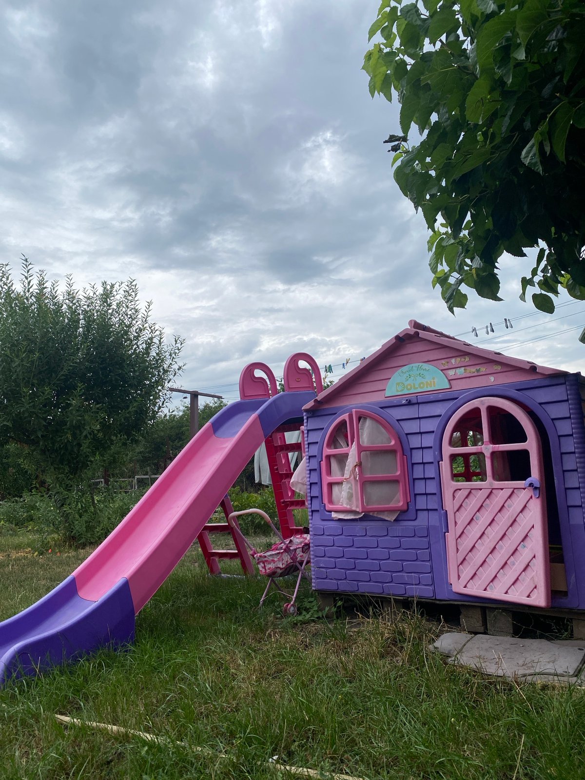 A Kropyvnytskyi backyard in full summer swing