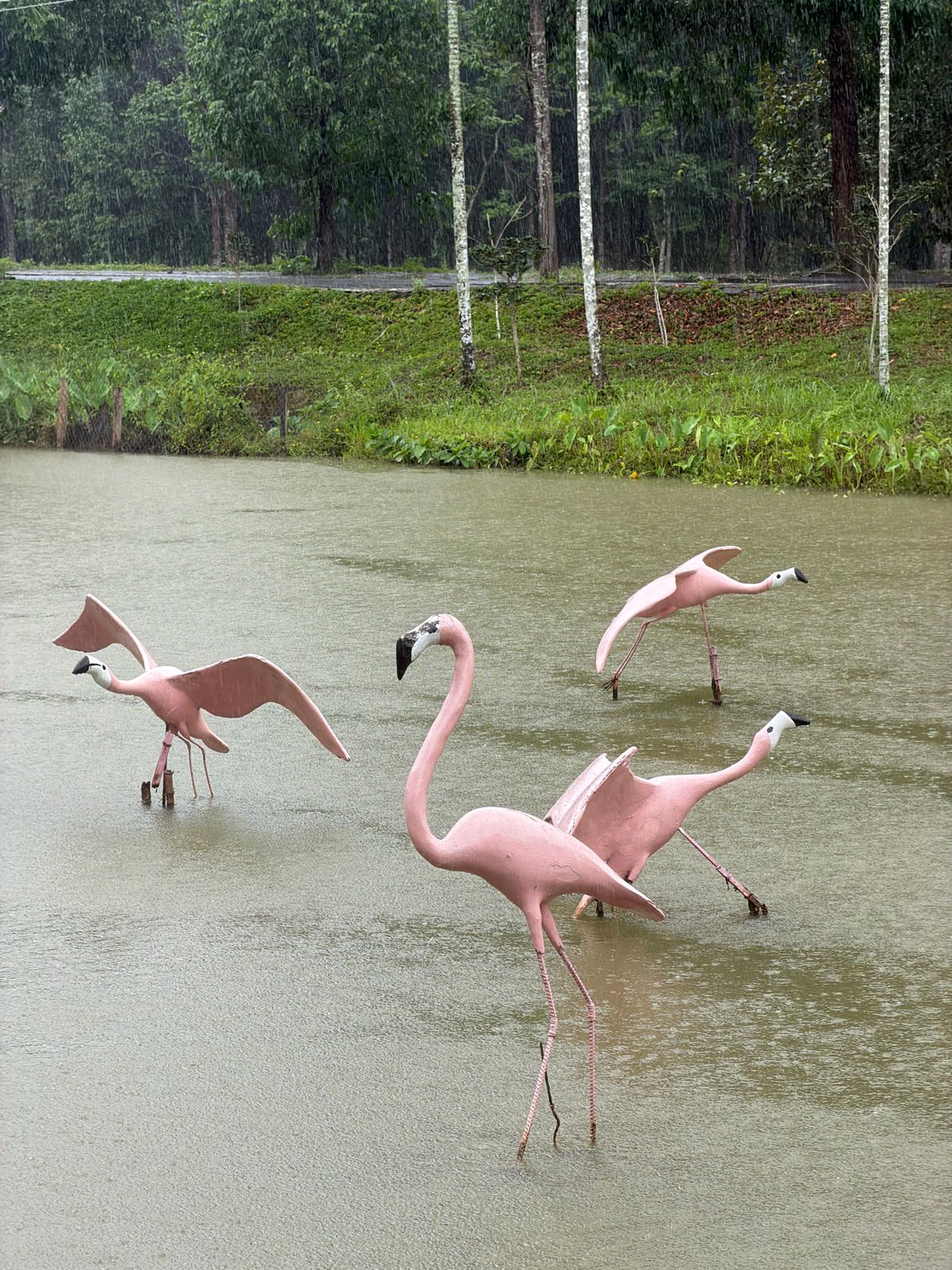 Rain falls on decorative garden with flamingo sculptures in Vietnam