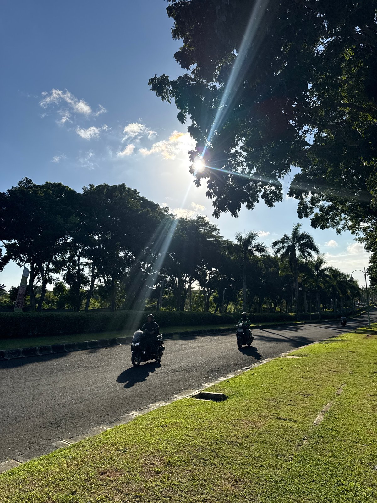 Morning motorcycle traffic captured on tree-lined Kuta Selatan road
