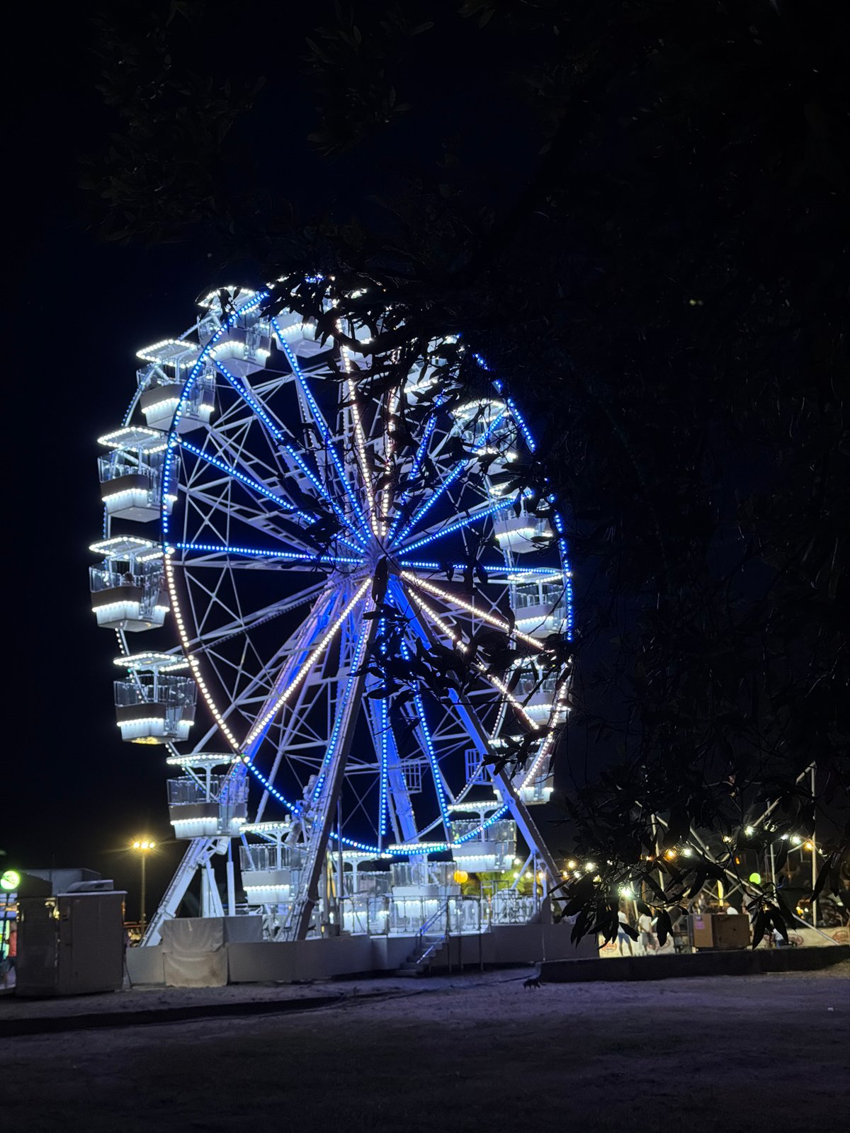 Budva's waterfront Ferris wheel lights up a busy summer night