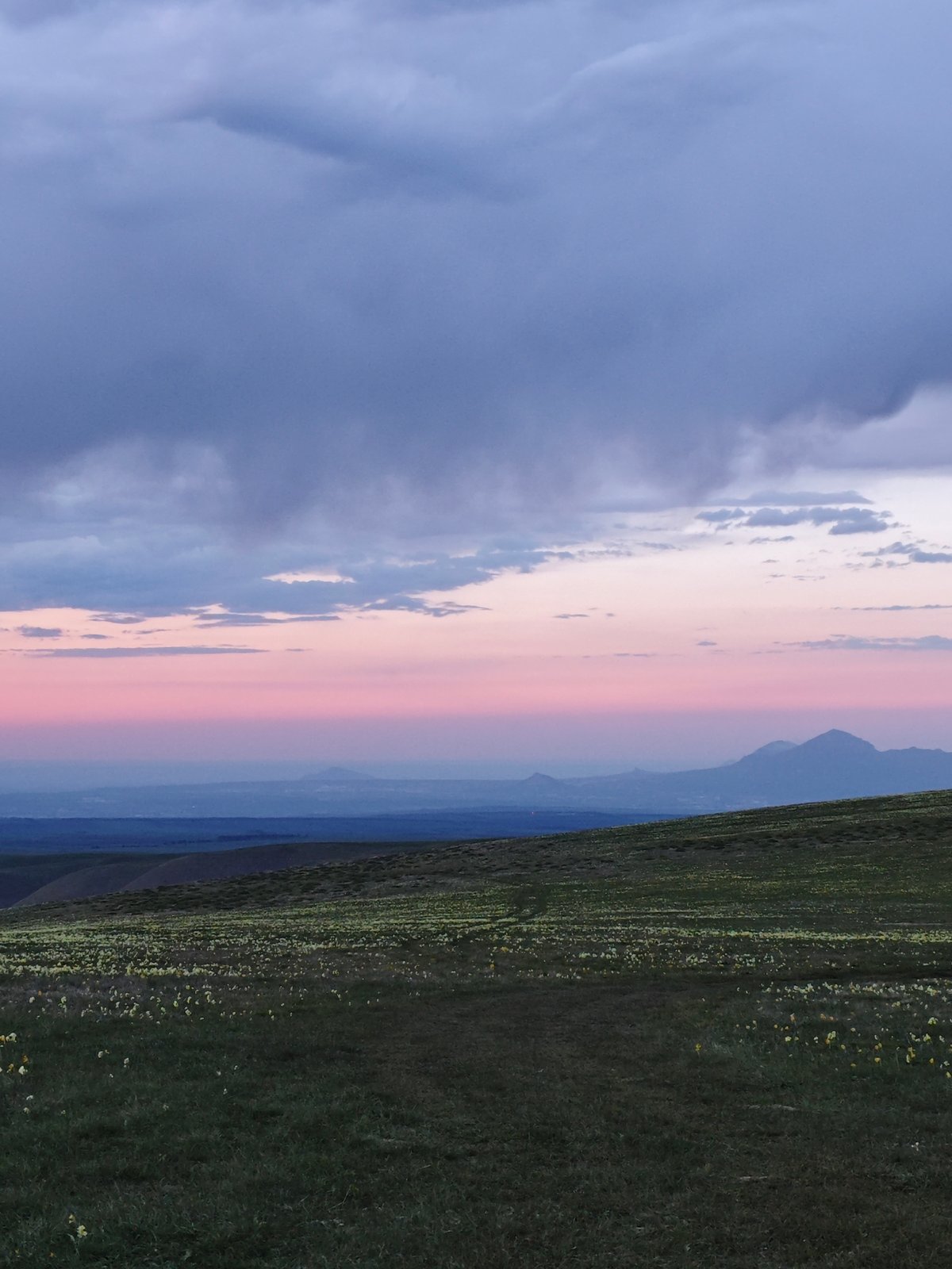 Woman spotted in flower field at sunset near Kichmalka