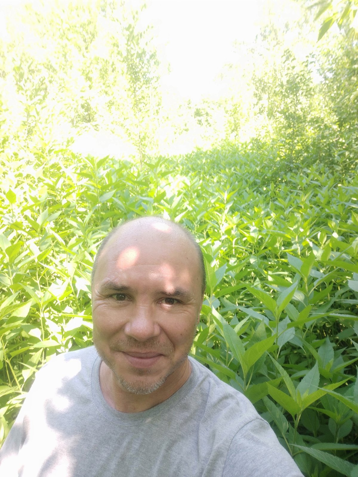 Wandering through lush Almaty greenery, wild cherries in season