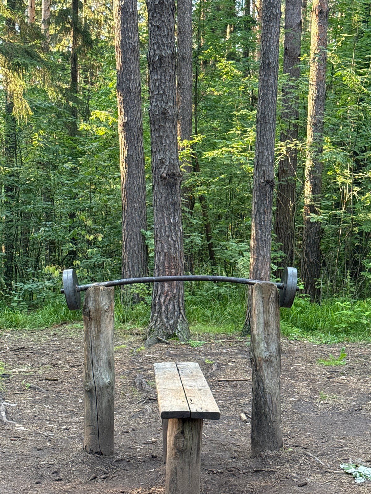 Outdoor forest fitness park buzzing with activity in Votkinsk