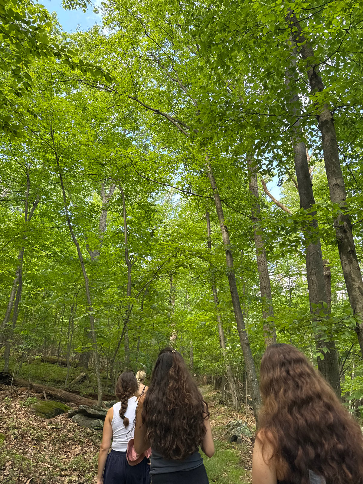 Group of women hike forest trail in Highfield-Cascade