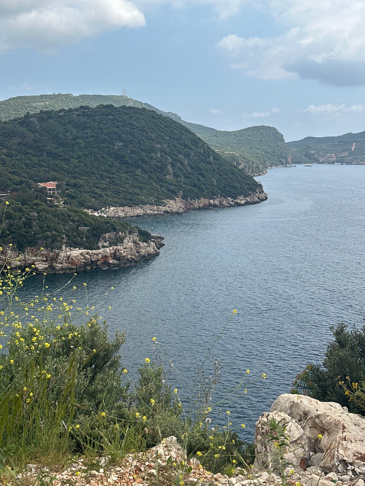 Spring wildflowers bloom along rocky Turkish coastline near Kaş