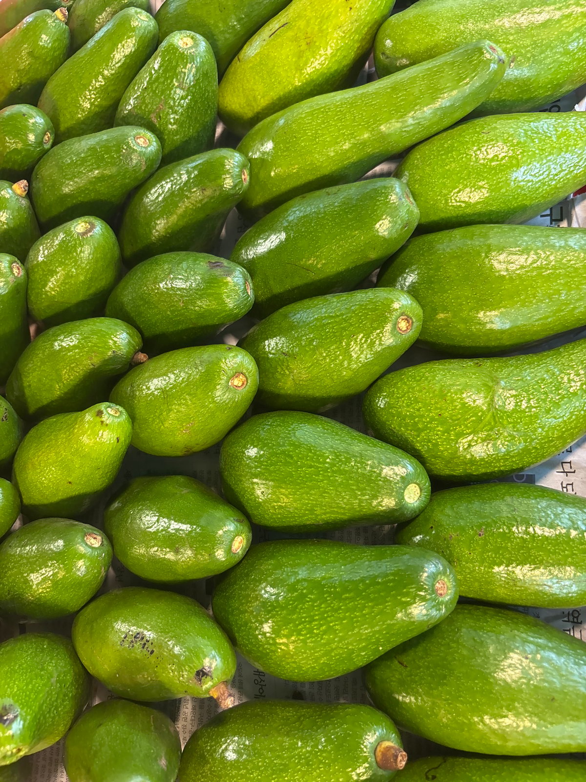 Tropical fruit market documented in Ban Bang Rak, Thailand