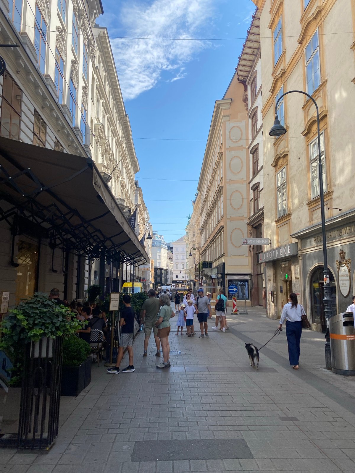 Vienna's pedestrian center: shops, cafés, and classical facades