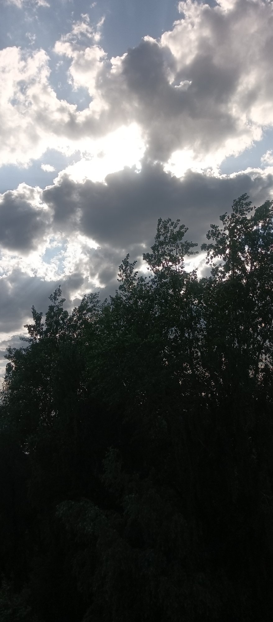 Personal afternoon documented: selfies, pet antics, sunset scenes