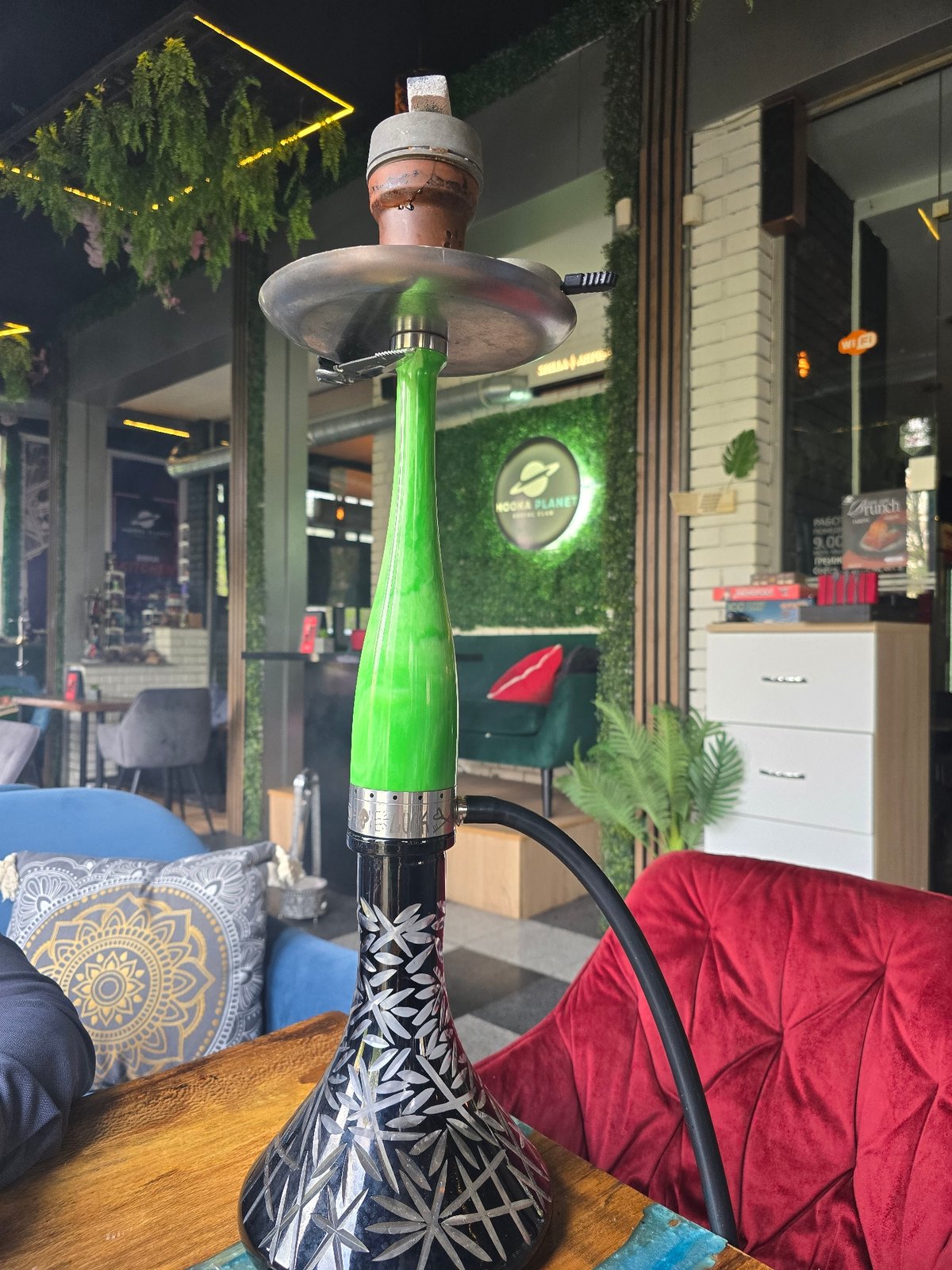 Sofia residents document hookah lounge visit, blooming flowers