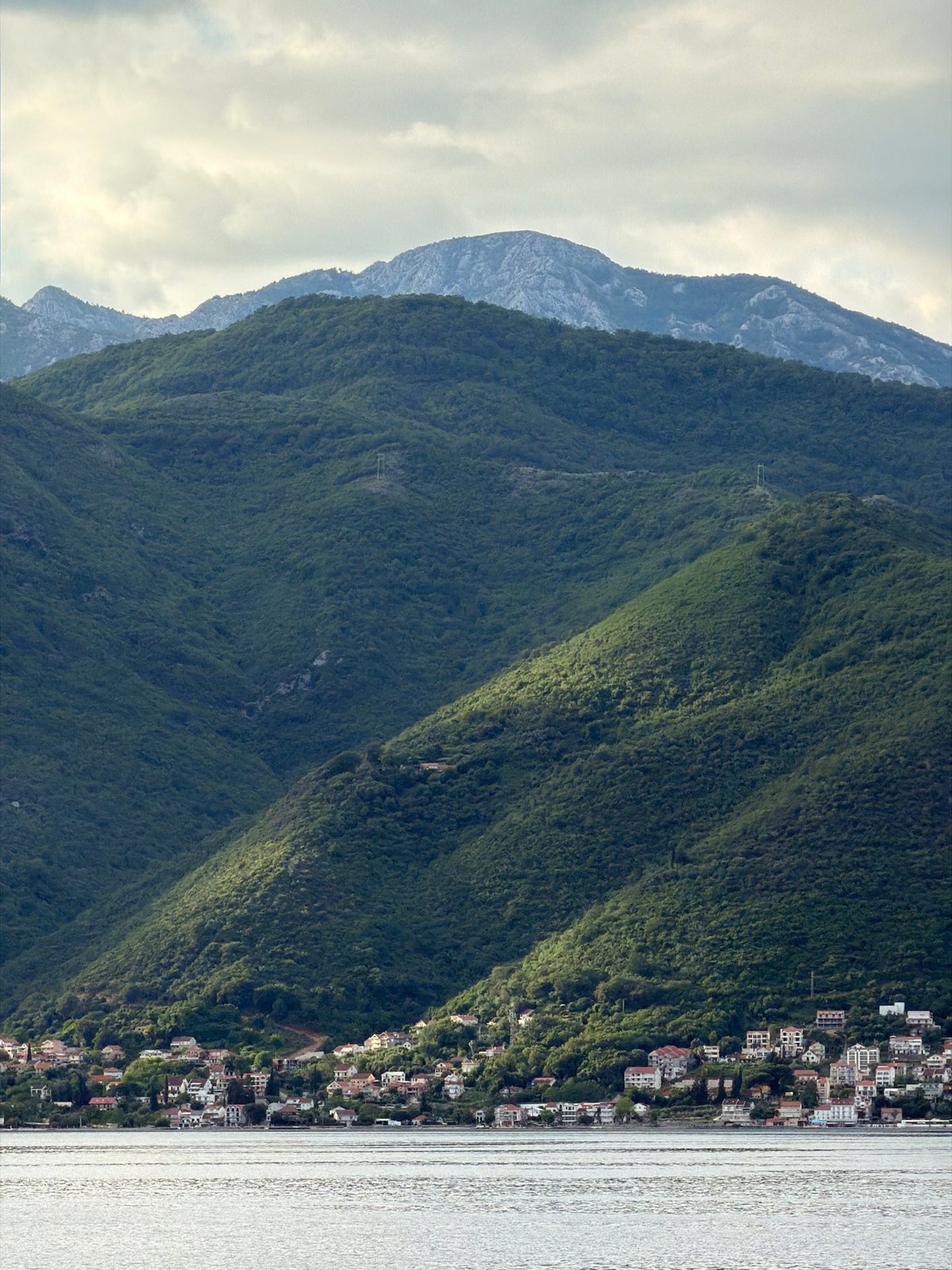 Witness documents Bay of Kotor scenery and local cat