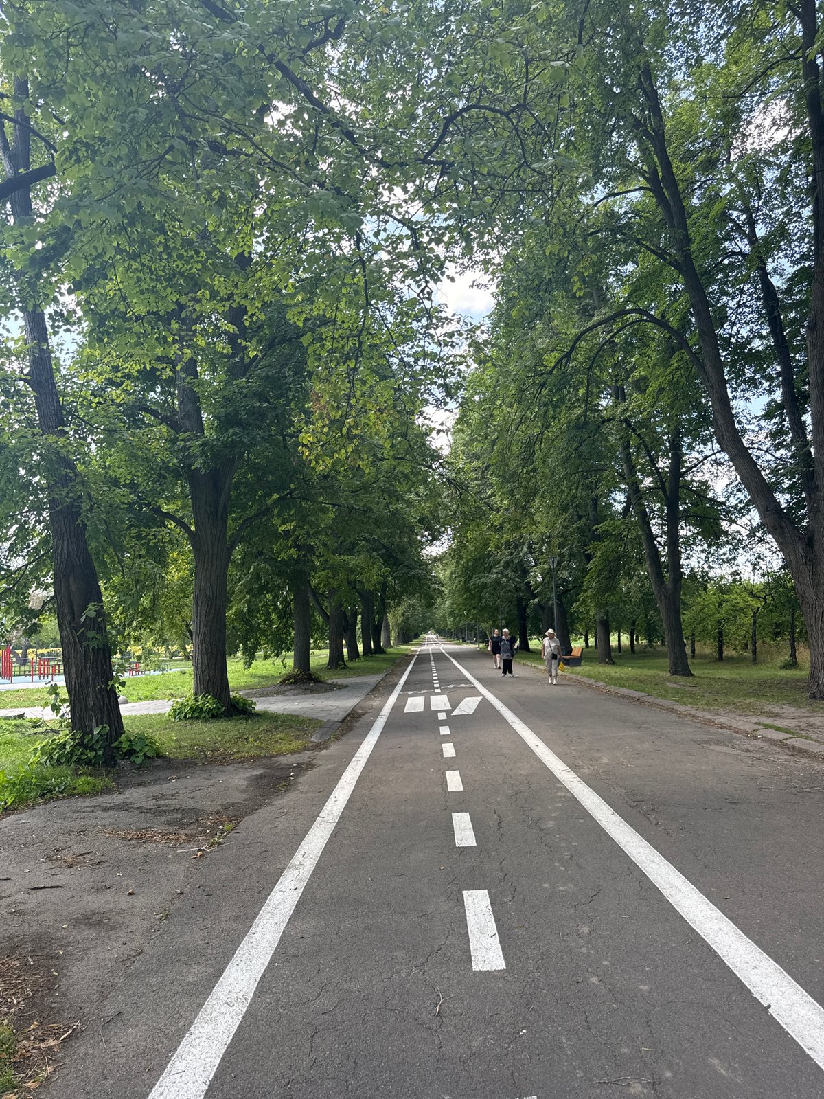 Park paths and a festival stage in Kyiv on a summer morning