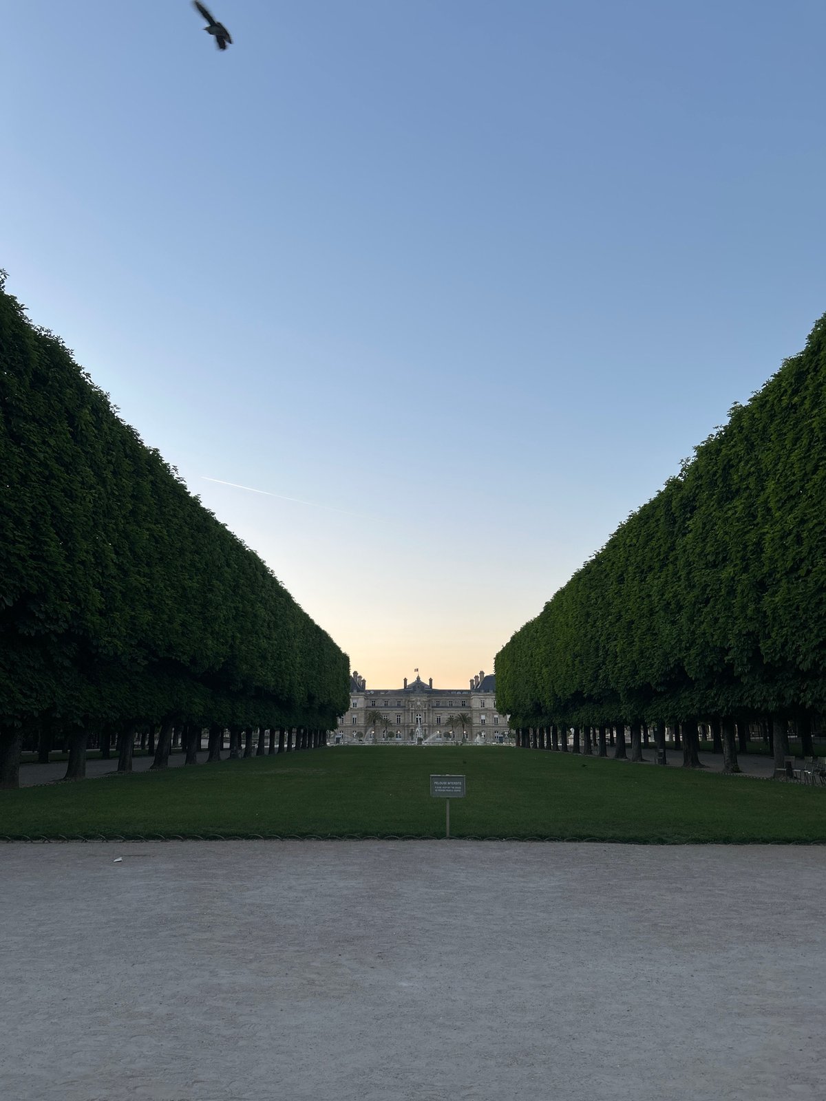 Paris evening scenes documented across streets and gardens
