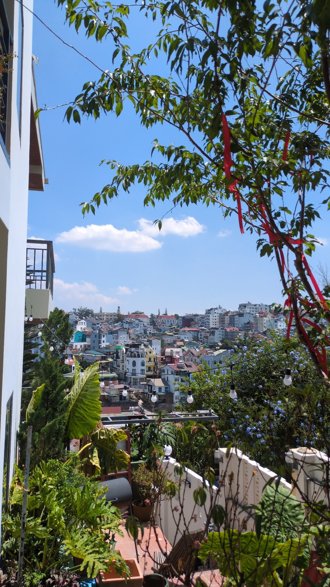 Elevated cityscape view captured in Da Lat, Vietnam