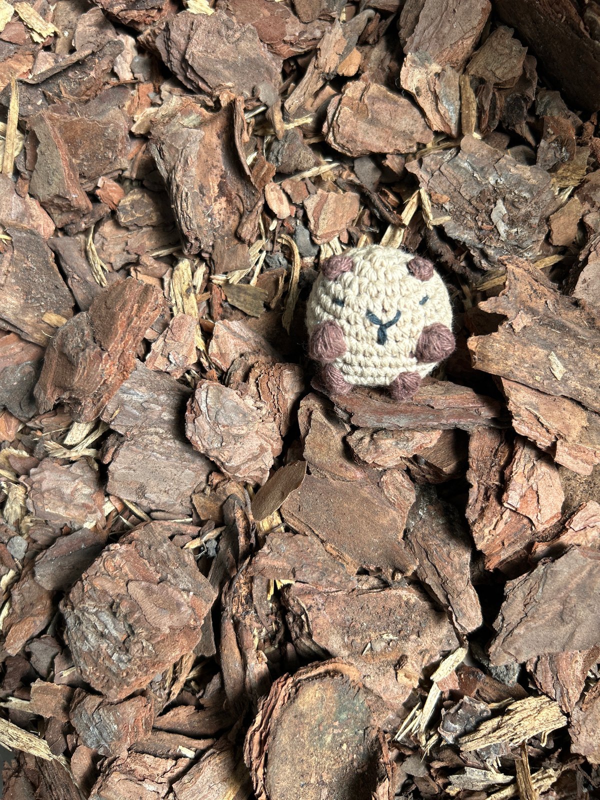Handmade toy found among bark pieces in Buenos Aires