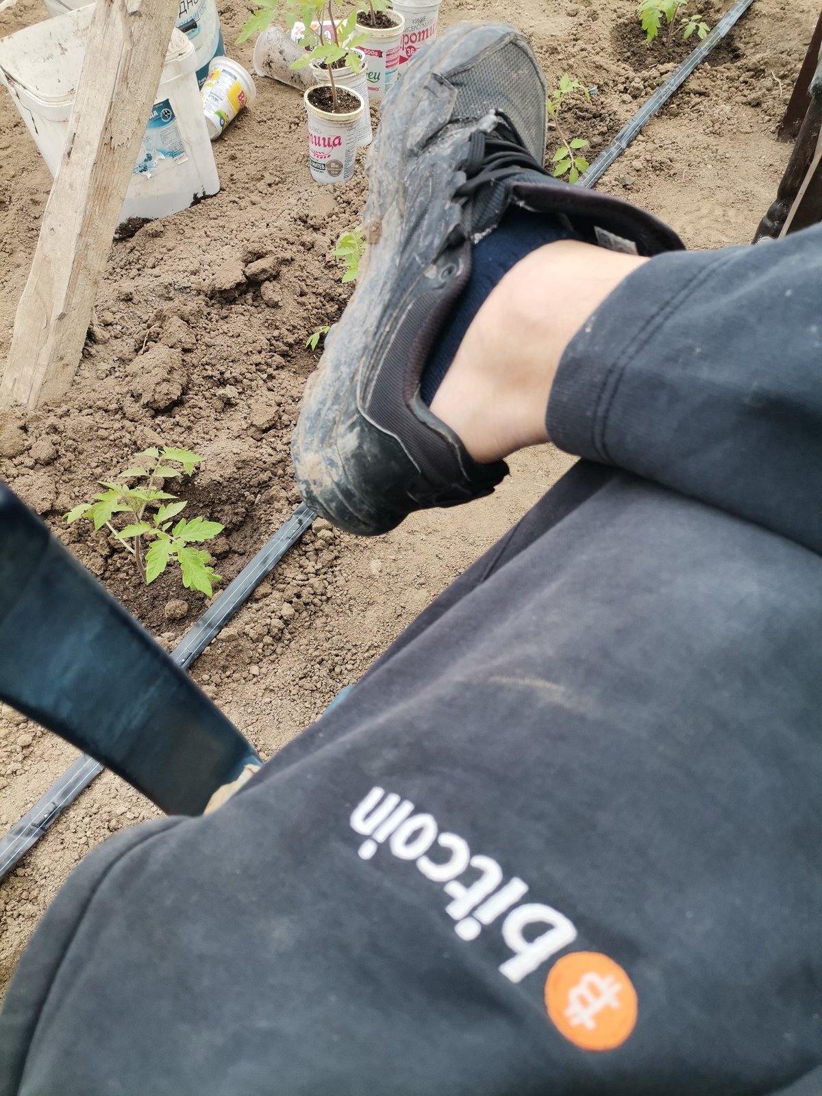 Person spotted wearing Bitcoin-branded clothing in Bulgarian garden