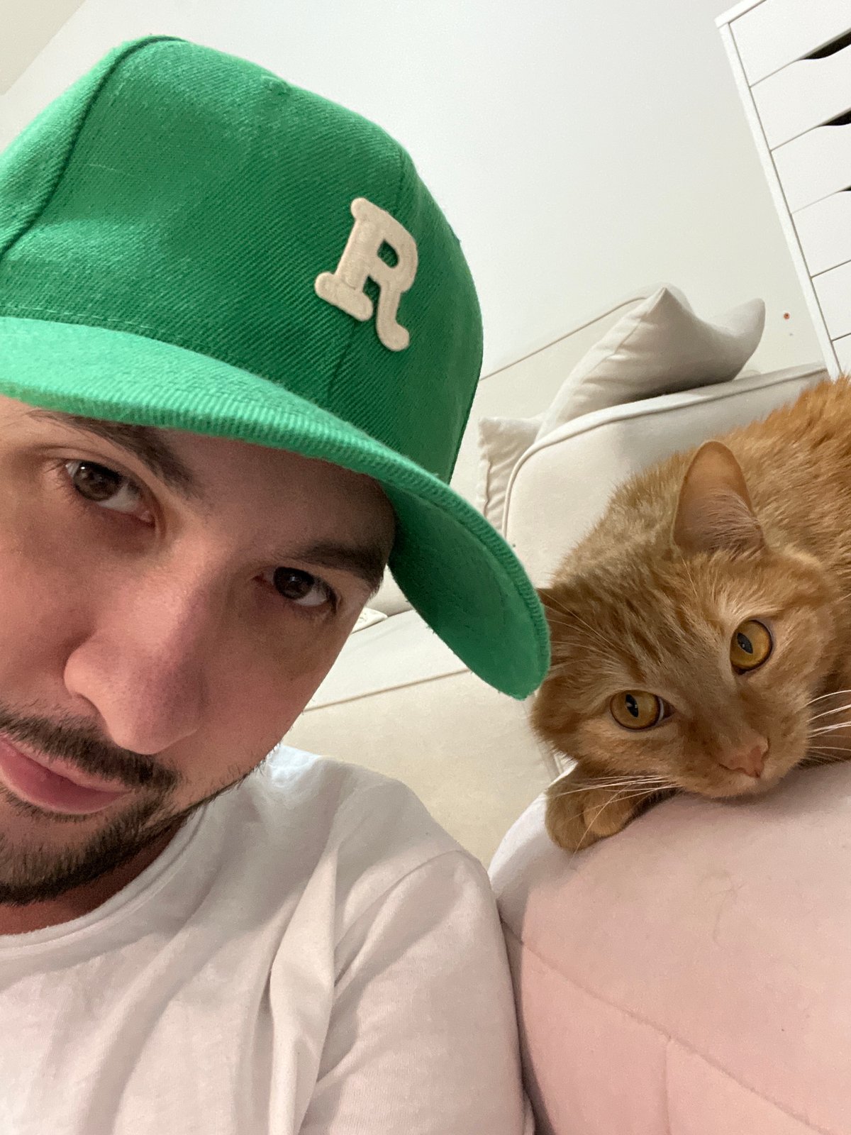 Orange tabby cat photographed multiple times in Perm apartment