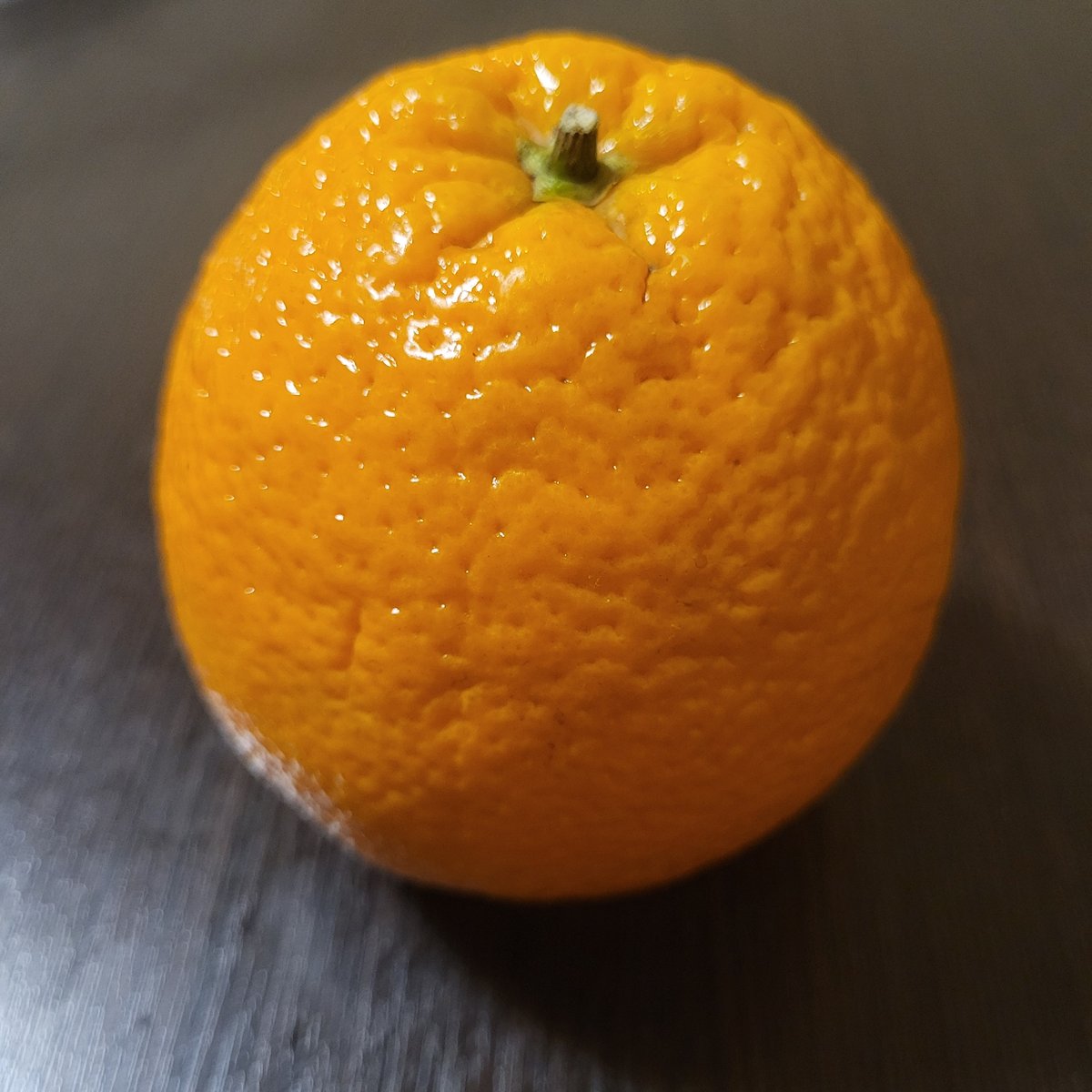 Orange fruit observed on metallic surface in Yerevan