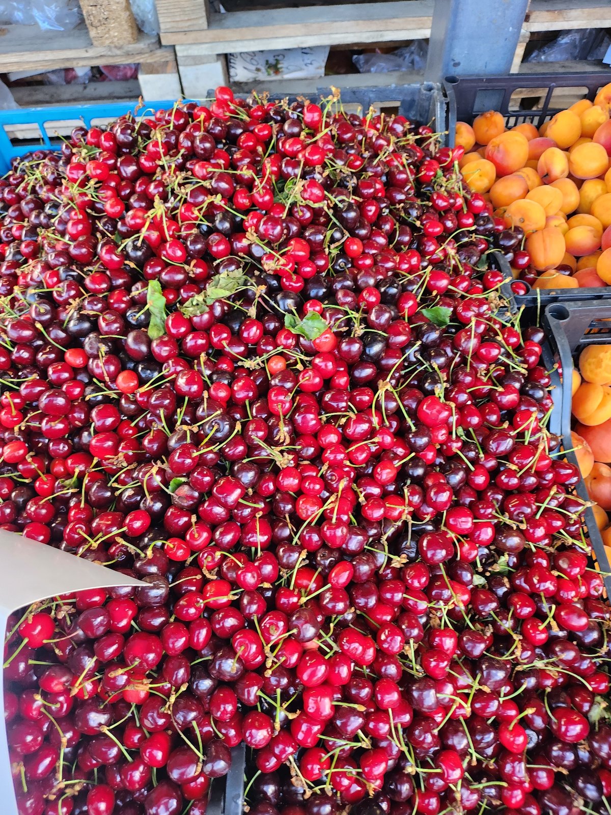 Daily life scenes captured in Пловдив market and cafe