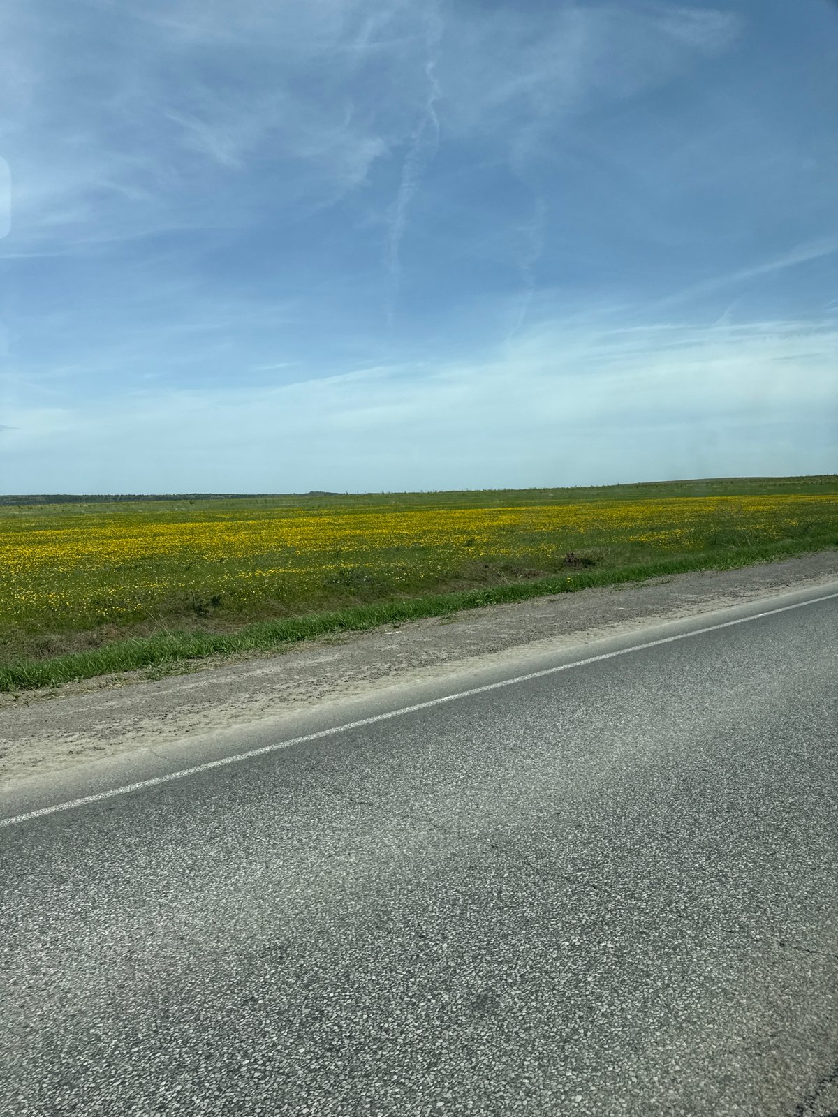 Rural roadside scene documented in Sarapul, Russia