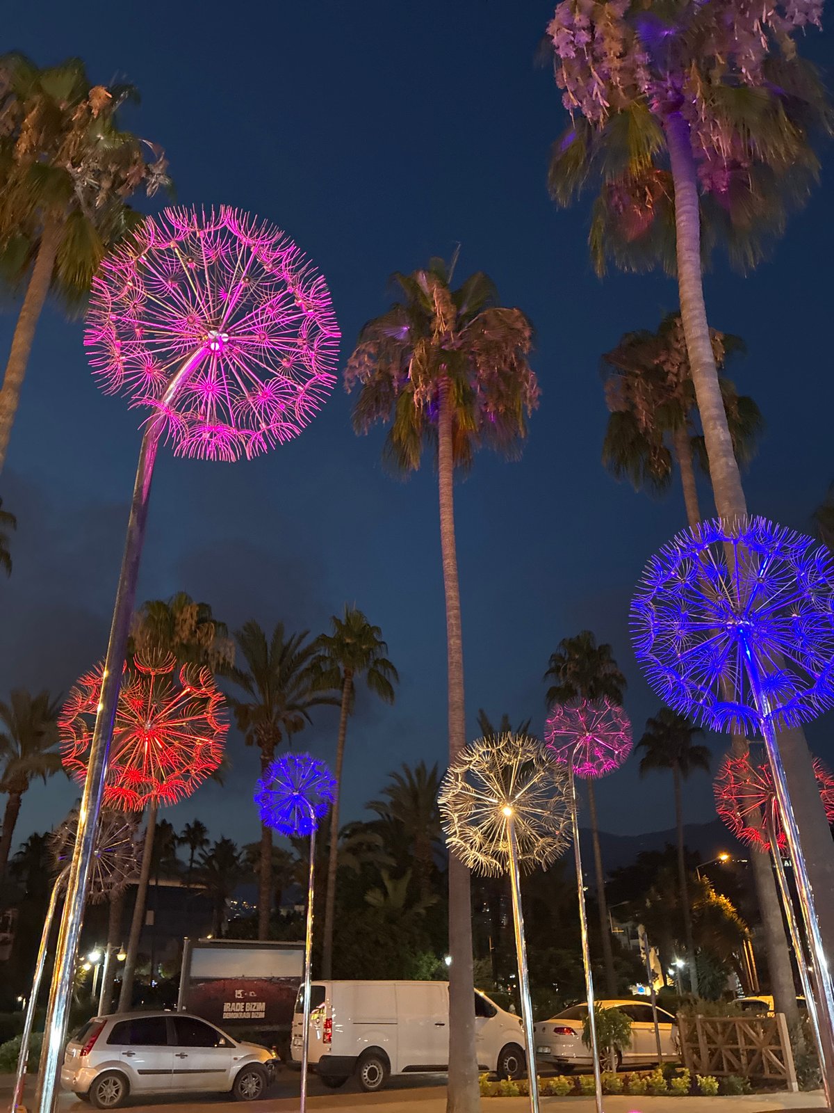 Alanya at dusk: park lights, harbor boats, and roaming cats