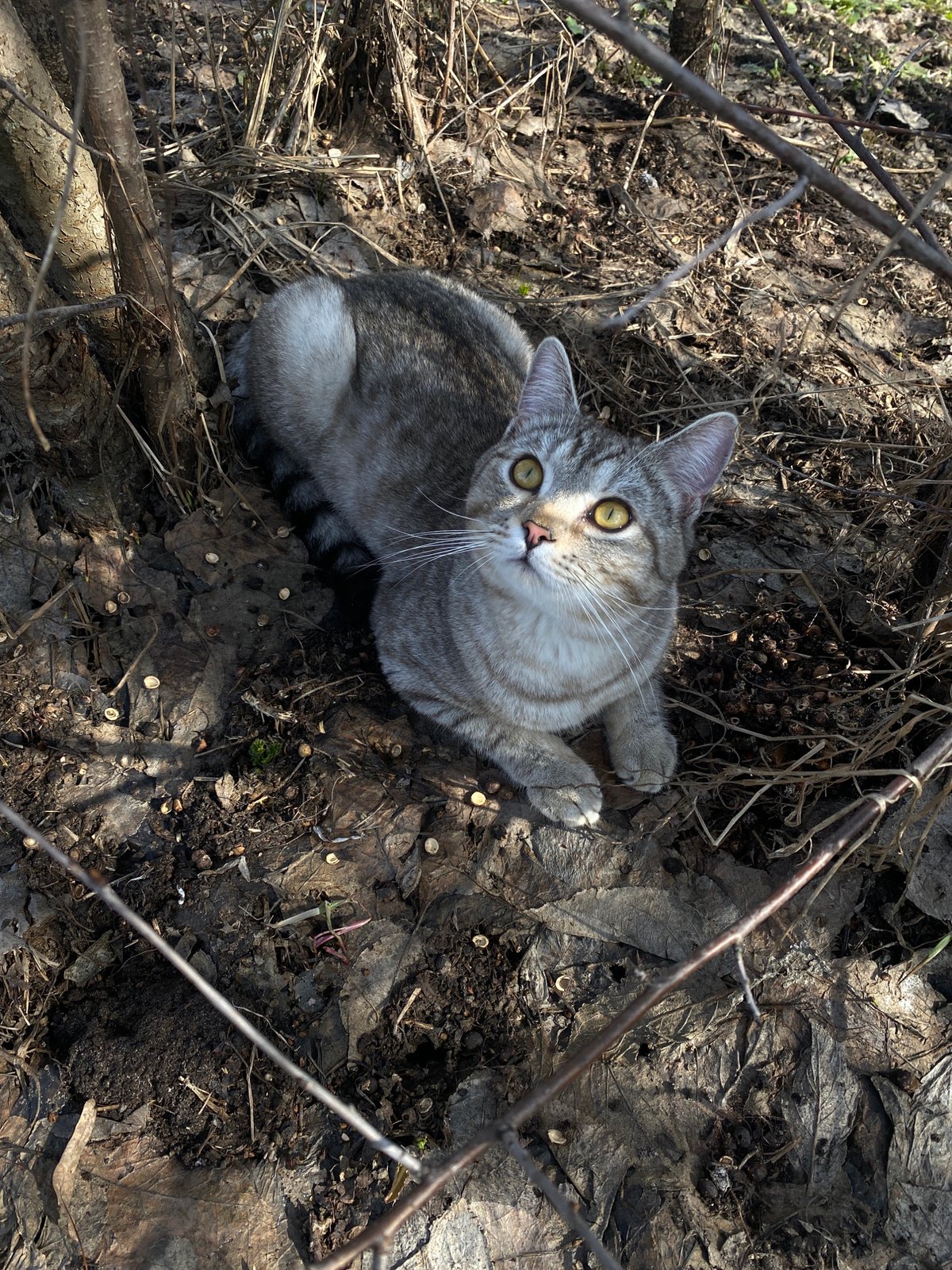 Cat and child spotted outdoors in Ольховка, Russia
