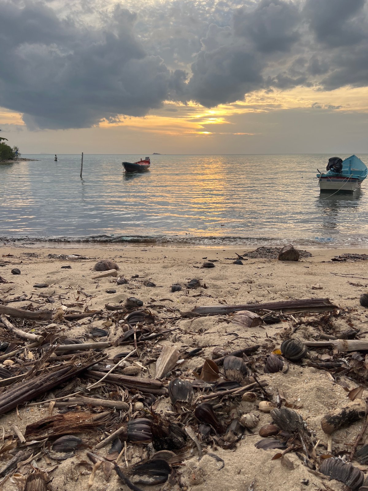 Calm coastal evening with boats, debris-strewn beach, dramatic sky