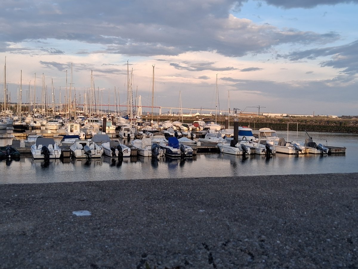 Evening marina activity documented in Figueira da Foz, Portugal