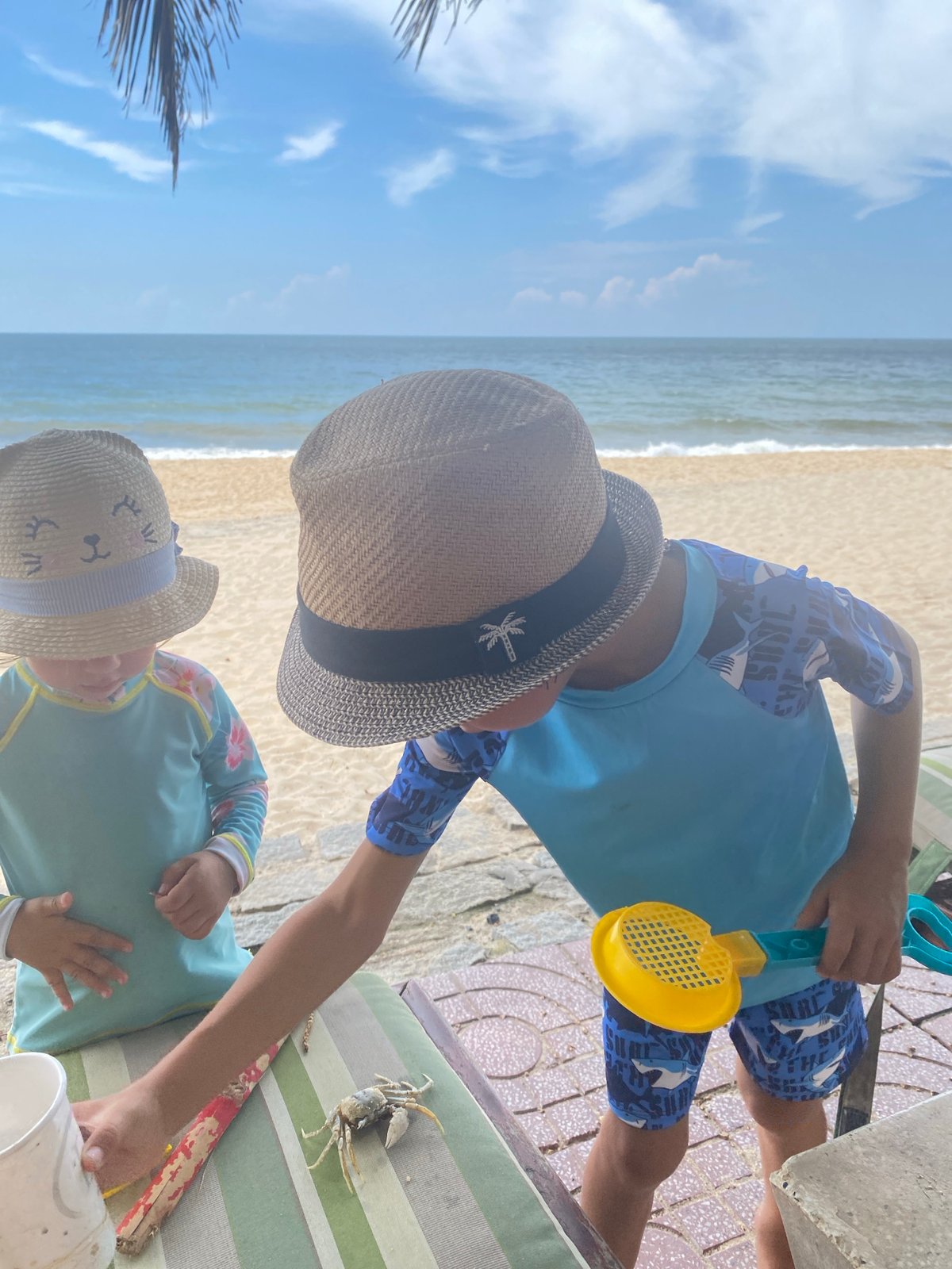 Kids and a crab at the Mũi Né shore