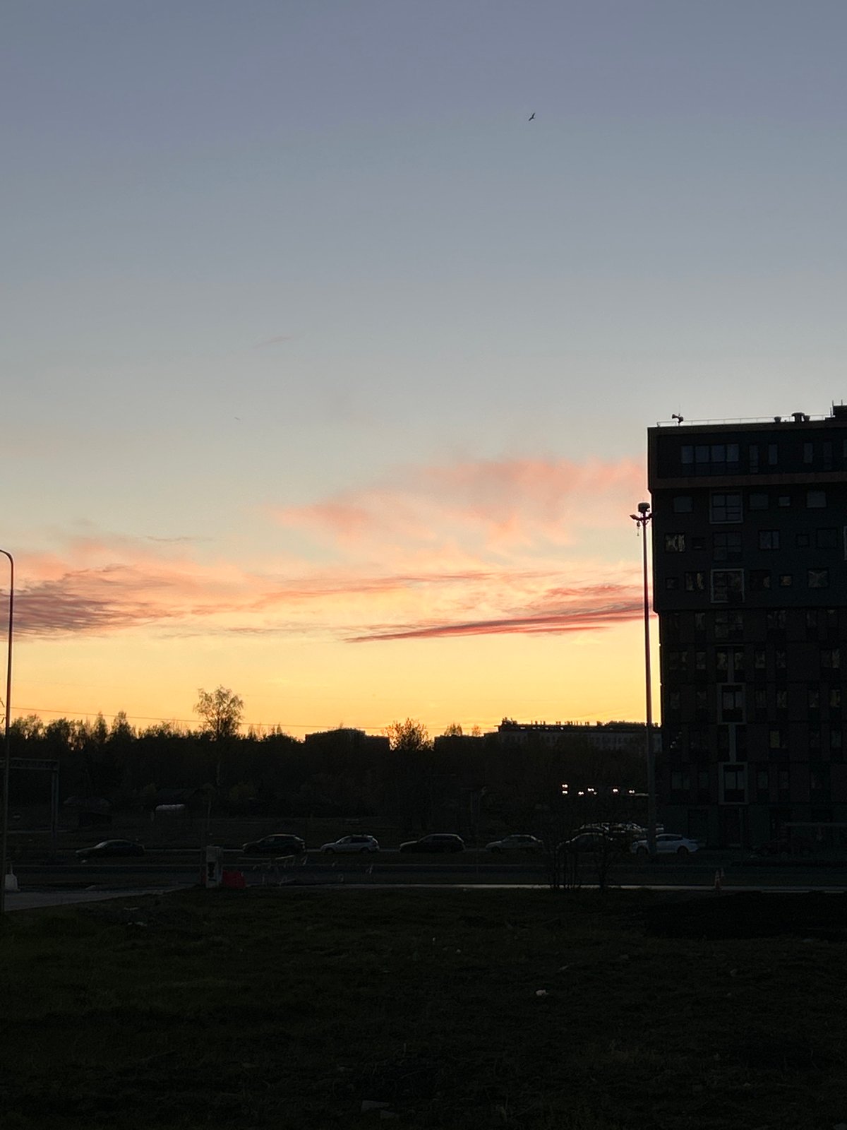 Evening documented in St. Petersburg with roses and sunset