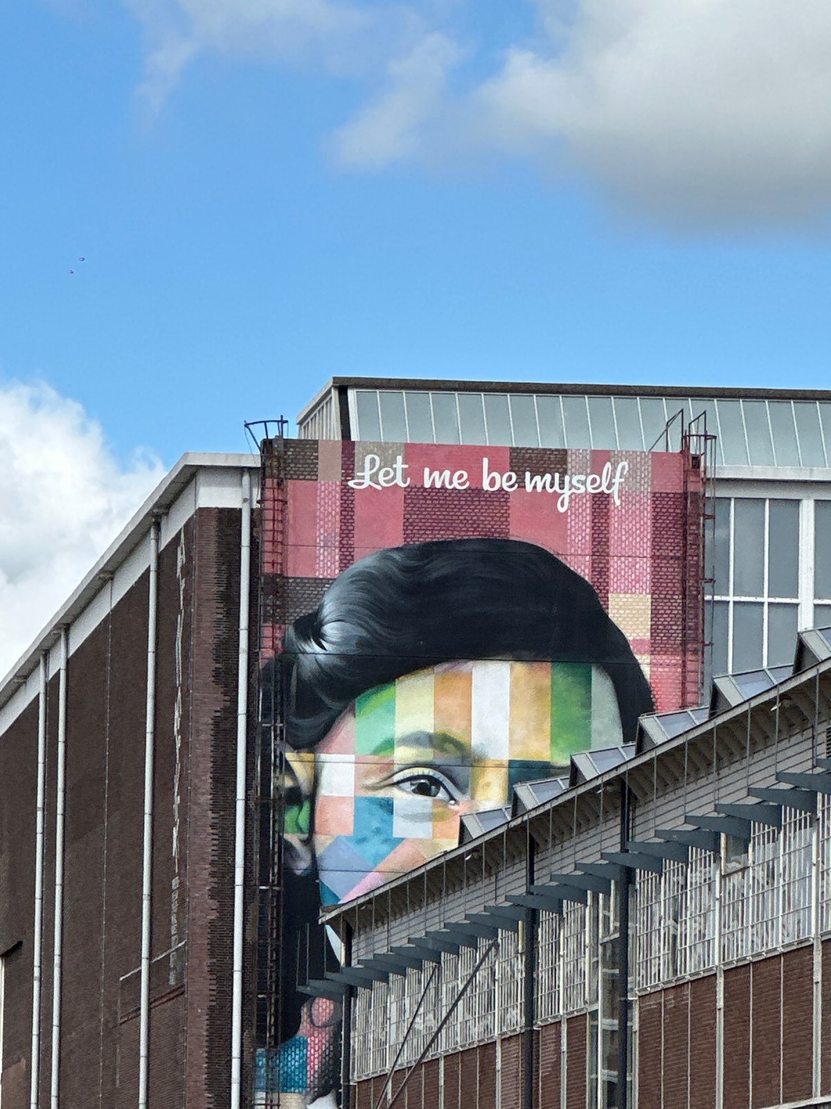 Amsterdam waterfront with street art and modern architecture