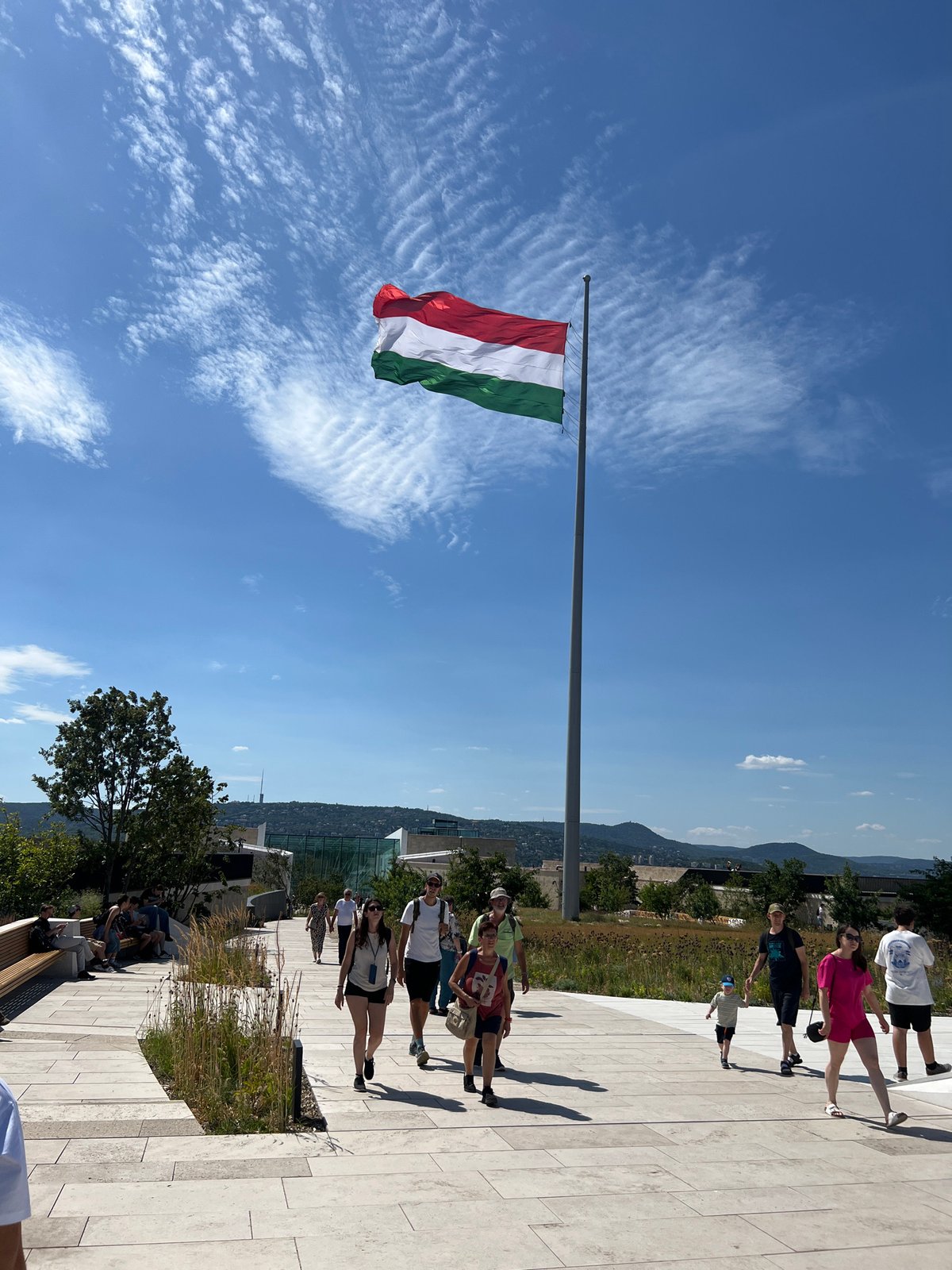 Afternoon tour of Budapest's hilltop landmarks and Danube views