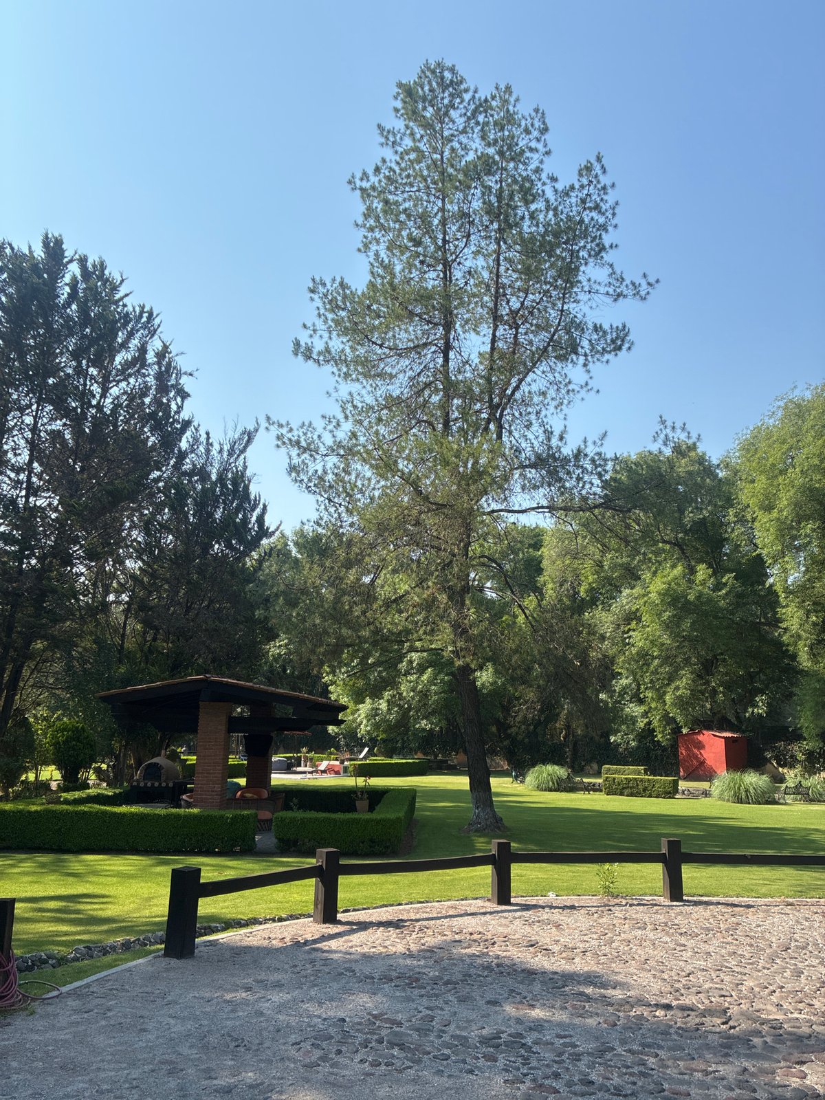 Quiet afternoon documented in Cañada de Madero residential area