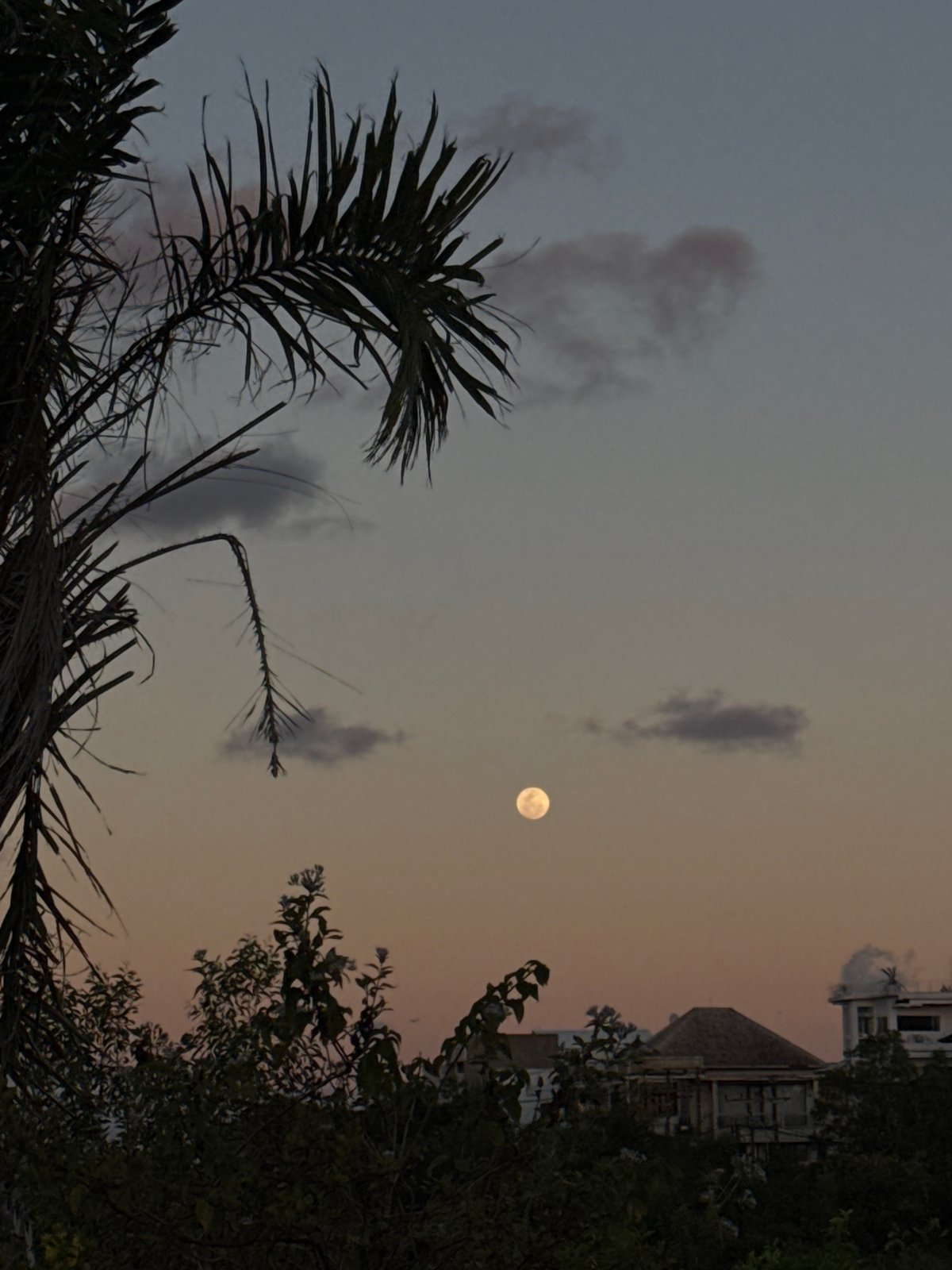Sunset gathering on a Bali hillside with kites, dogs, and a rising moon