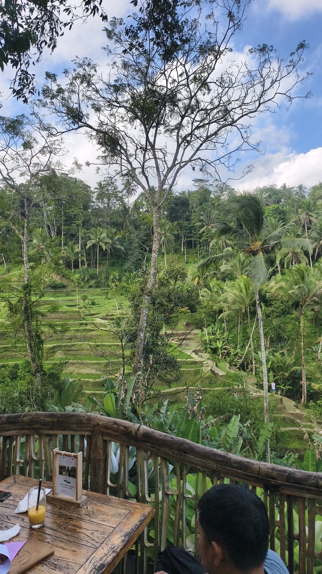 Morning dining overlooking Tegallalang rice terraces documented by visitor