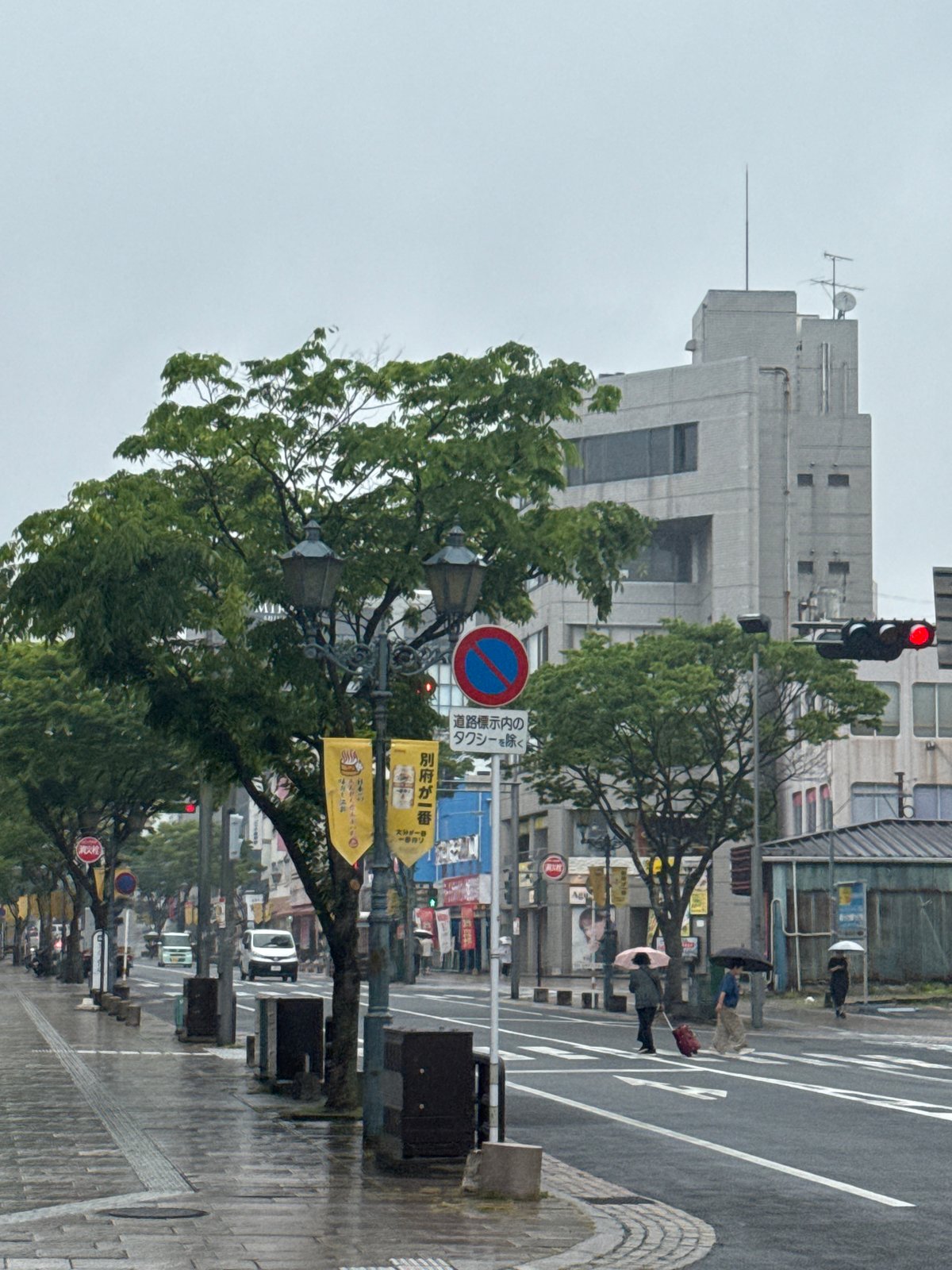 Woman swims in rooftop pool during rainy morning in Beppu