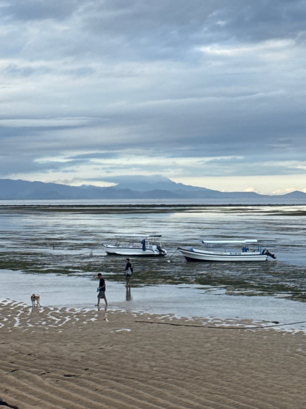 Low tide grounds boats on Denpasar beach during morning hours