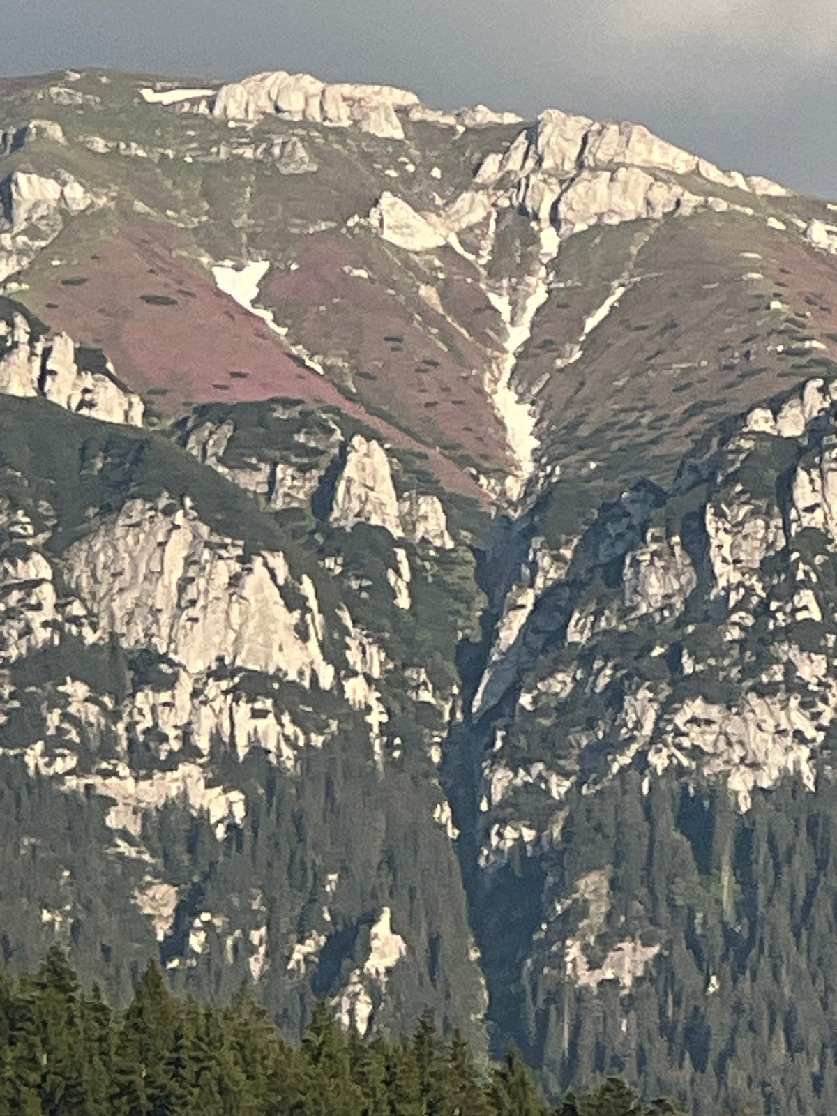 Rocky mountain range with forested slopes and a hillside village