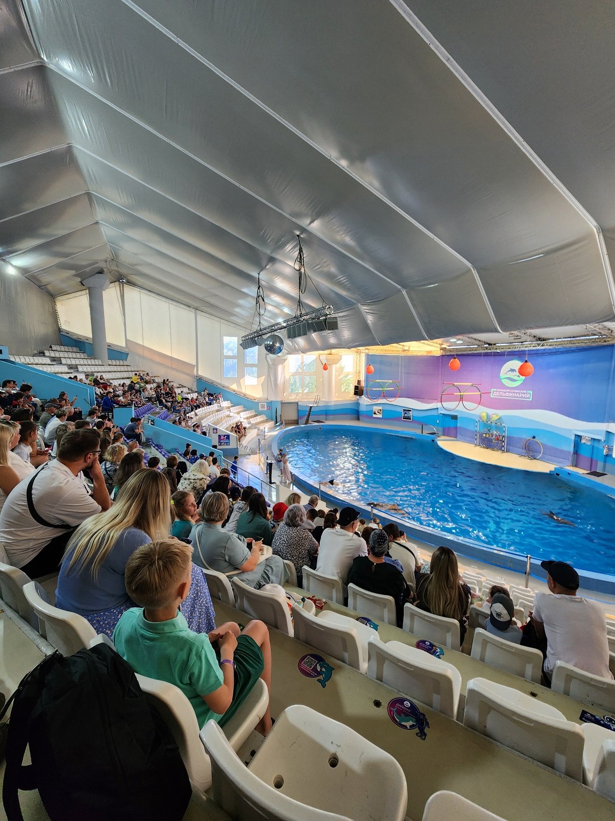 Dolphin shows and penguin exhibit documented at Sochi aquarium