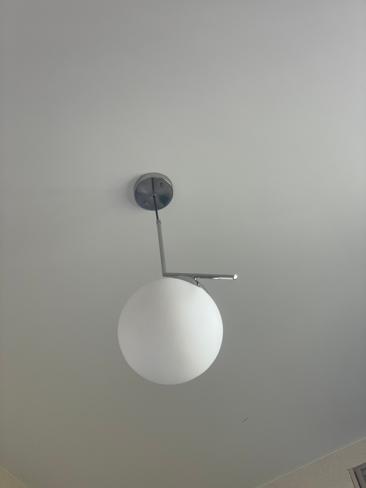Cat naps, pet credit cards, and globe lights at home