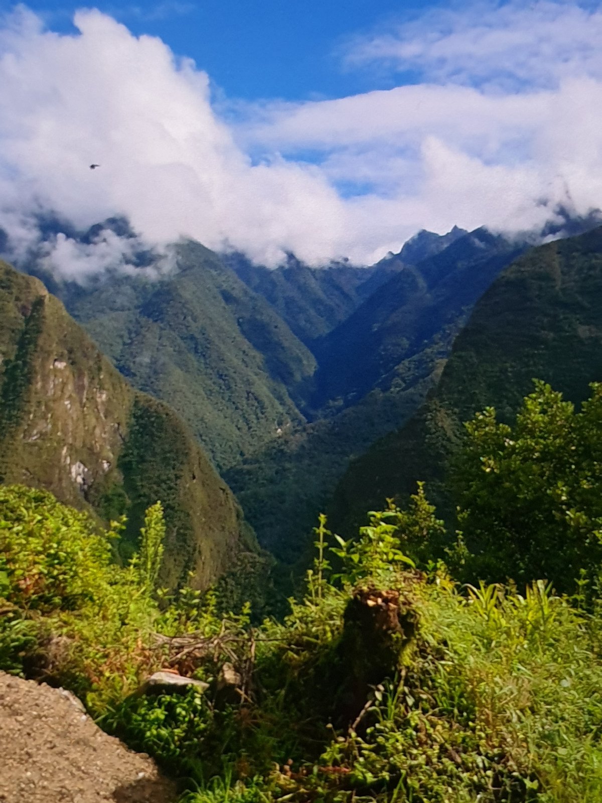 Multiple witnesses document diverse outdoor scenes in unknown location