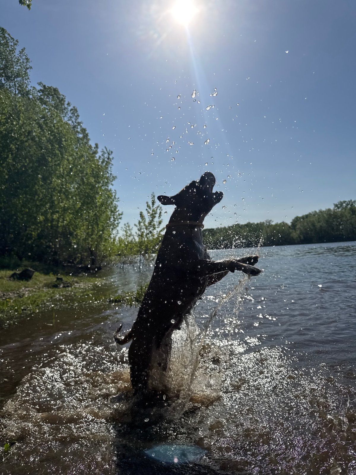 Summer day memories captured in Chaikovsky, Russia