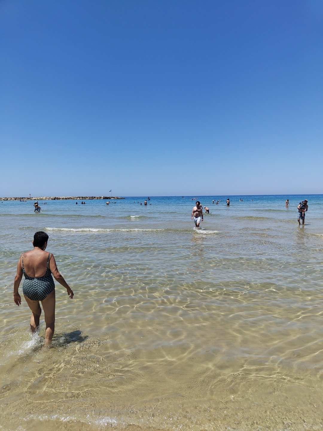 Jellyfish wash ashore on Tel Aviv beach during sunny morning