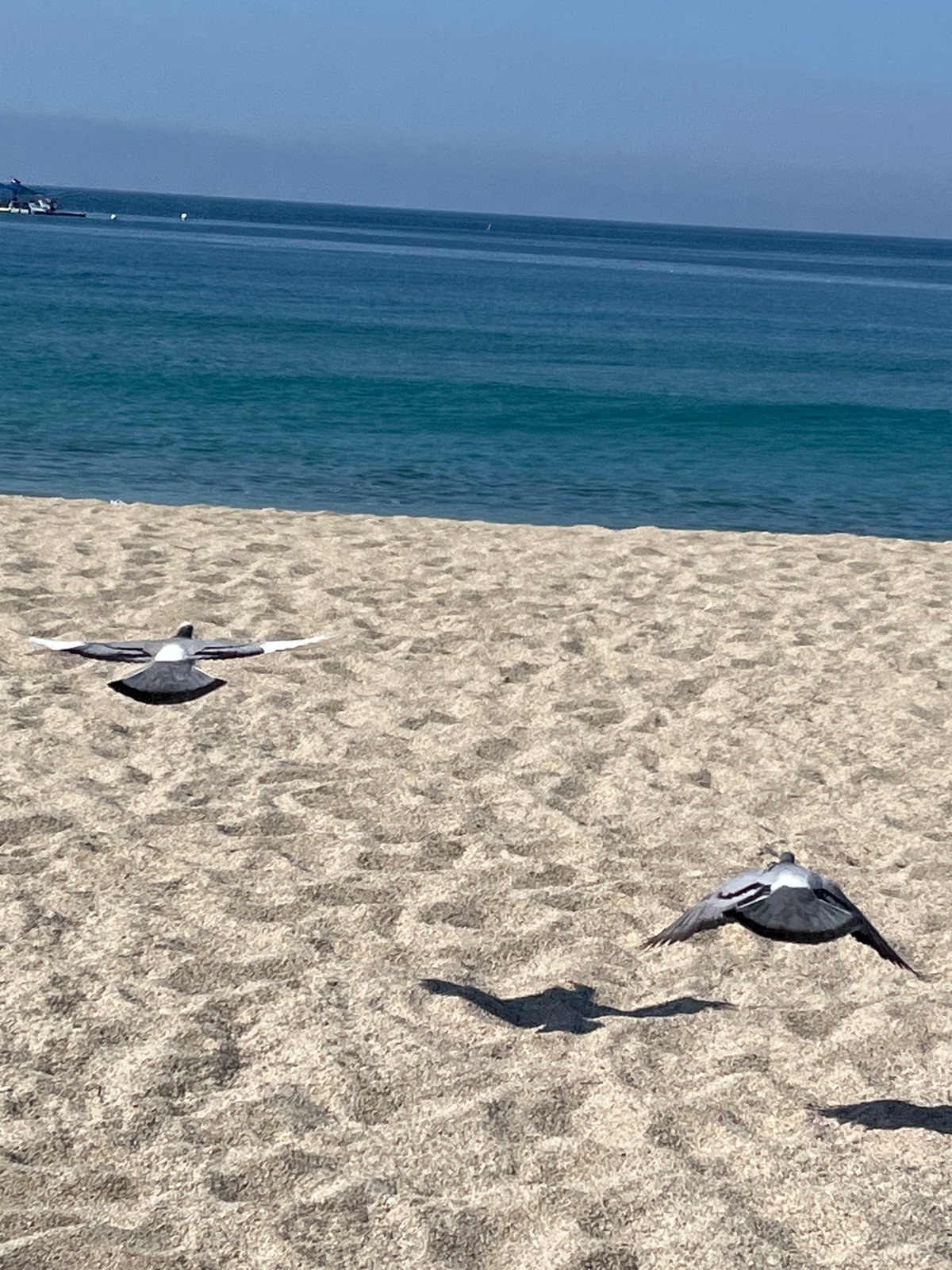Morning beach visit documented in Alanya, Turkey