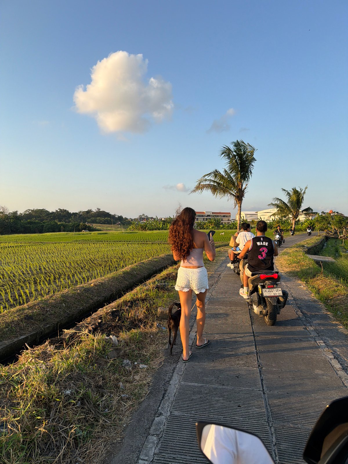 Motorcycle passenger documents scenic ride through North Kuta rice paddies